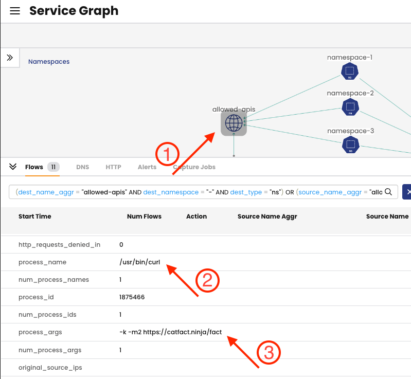 Screenshot showing how selecting "allowed-apis" reveals process name and arguments in a flow details expansion