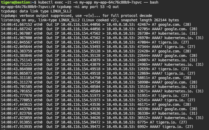 Terminal output of `tcpdump` showing DNS lookups to external domains like google.com, kubernetes.io, and tigera.io