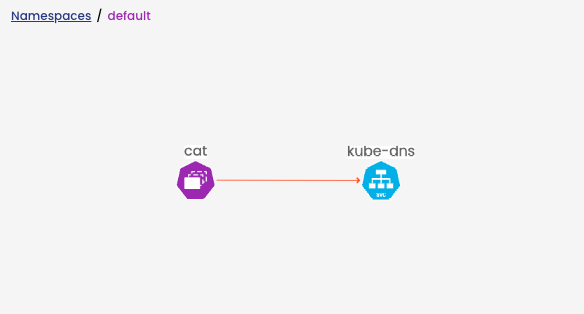 Cat - Kube-DNS Connection Diagram
