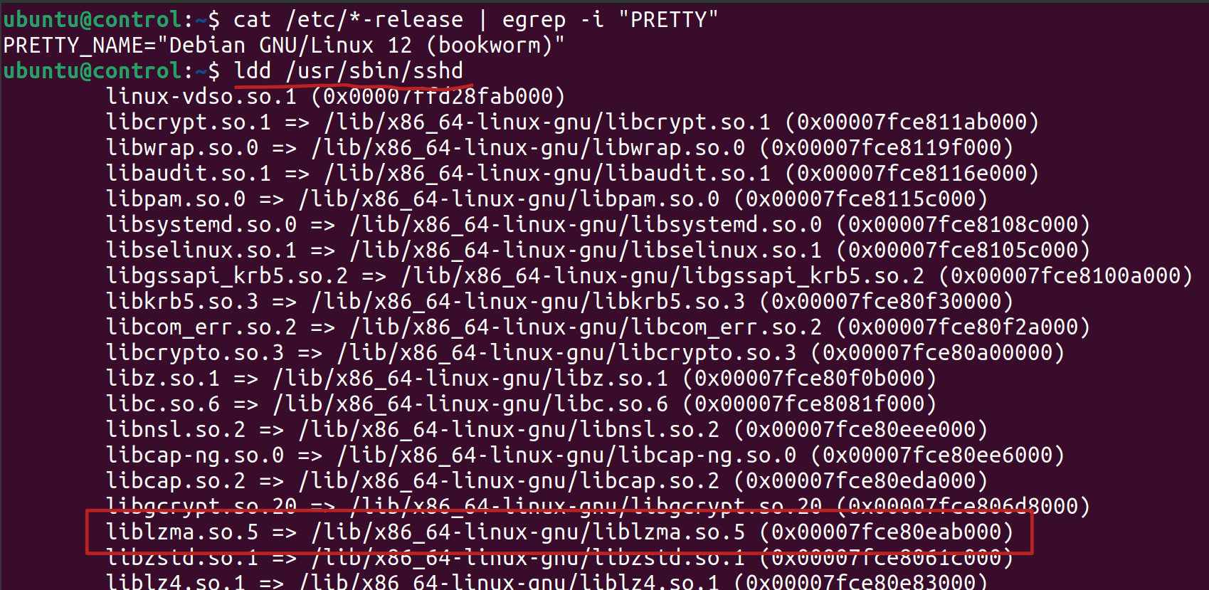 Screenshot of terminal output showing dynamically linked libraries for Debian SSH server at compile time