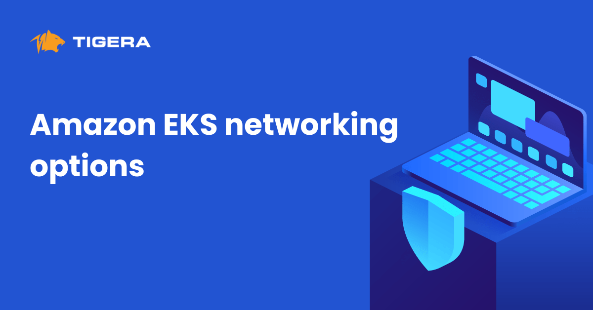 Amazon EKS networking options