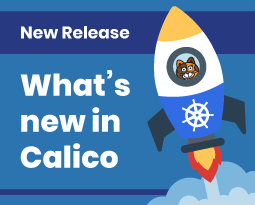 Calico's May 2024 monthly roundup image: A rocket with a cat astronaut announces a new Calico release