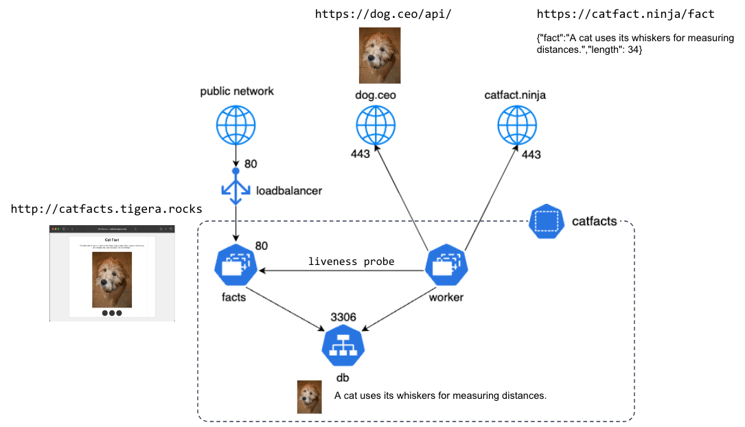 Diagram of the application architecture, showing data flow from public network to internal services (facts, worker, db