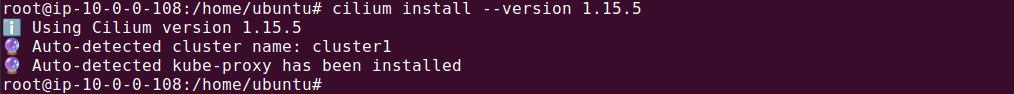 Cilium installation output showing auto-detected cluster name and ID
