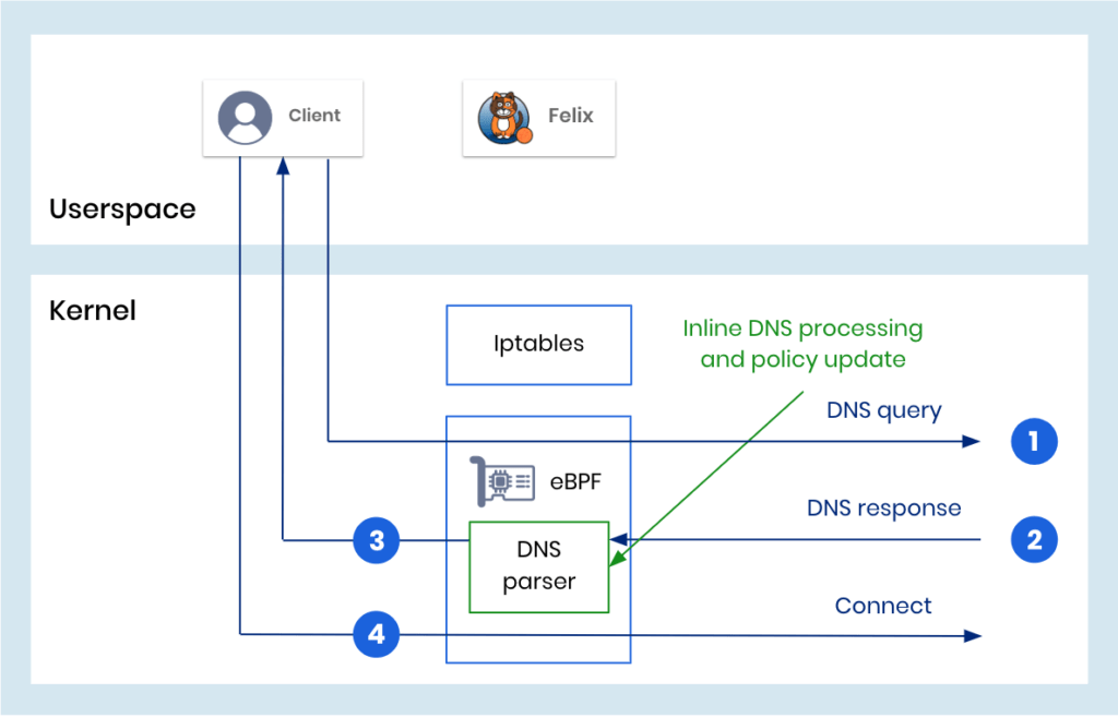 Inline Mode: eBPF in kernel handles DNS processing, avoiding NFQUEUE/NFLOG bottlenecks. DNS query/response flow shown.