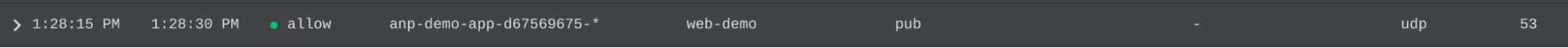 Workload accessing the internet over port 53 UDP.