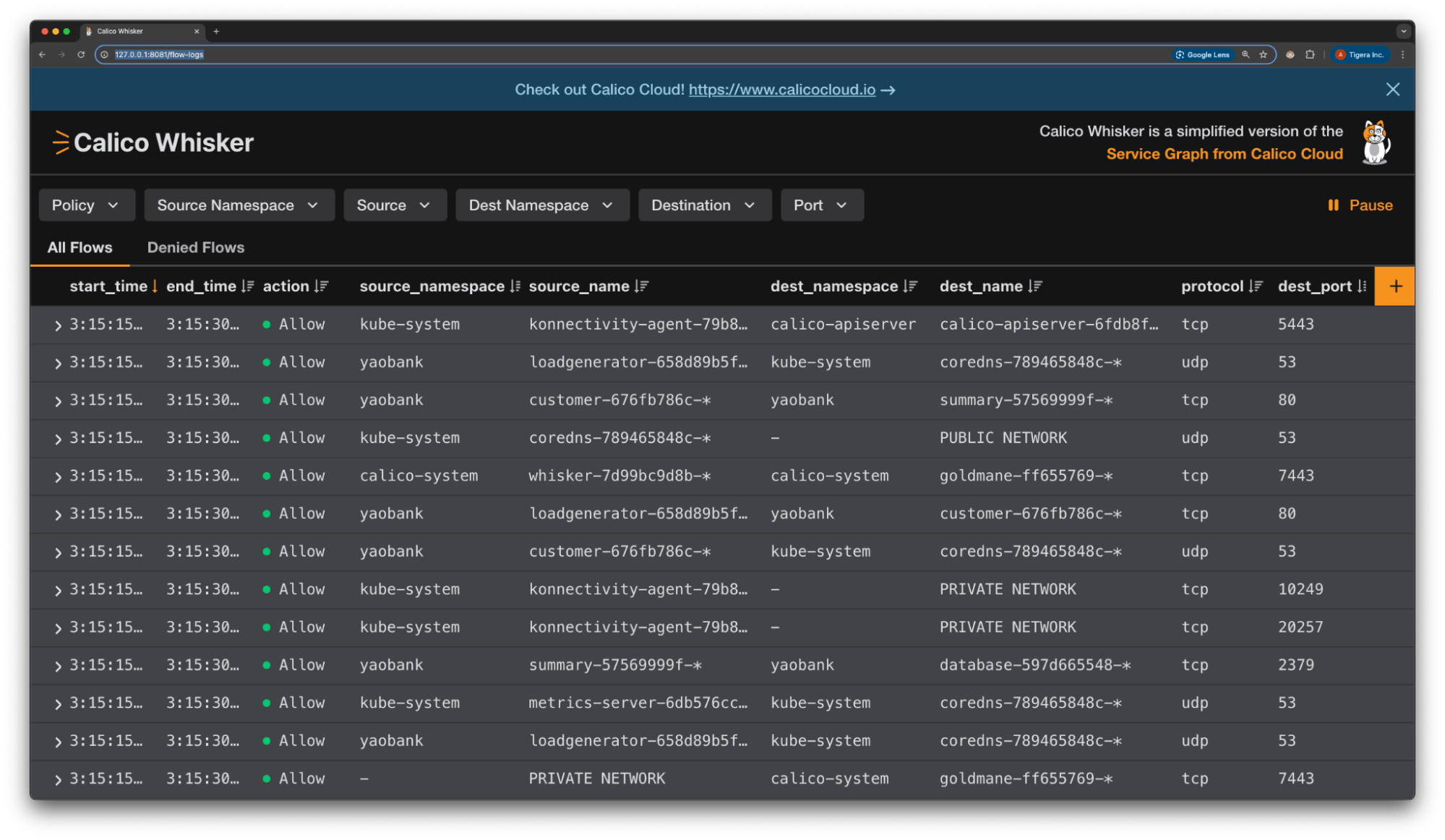 Calico Whisker UI displaying a table of network flow logs.