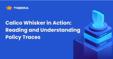 Calico Whisker in Action: Reading and Understanding Policy Traces