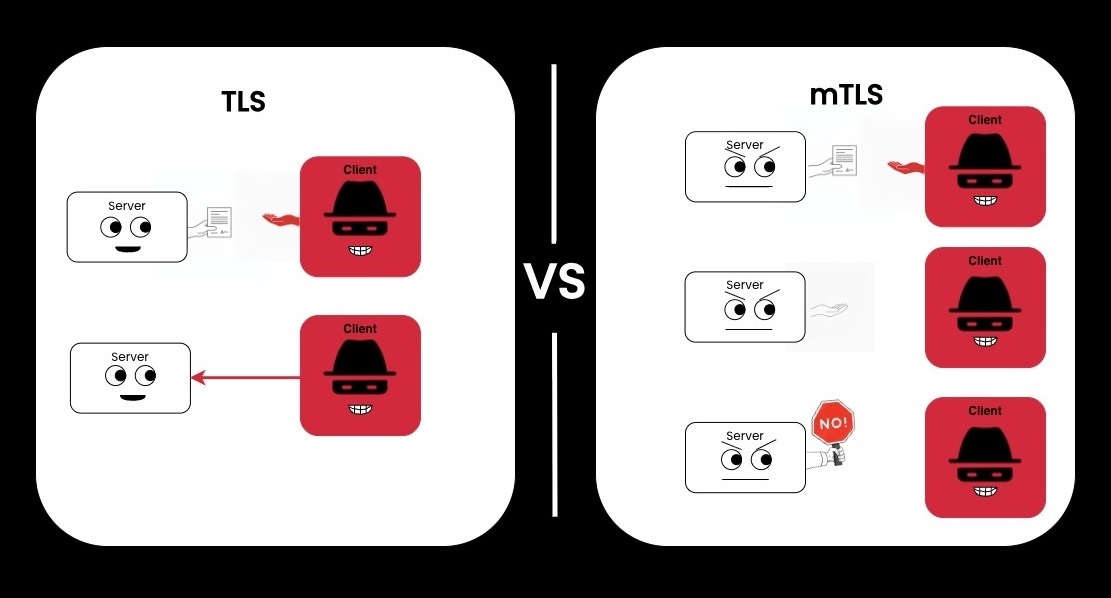 Zero-trust mTLS verification process